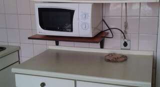 Гостиница Hostel Green House Томск Номер "Стандарт"-12