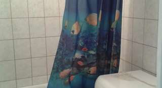 Гостиница Hostel Green House Томск Номер "Стандарт"-10